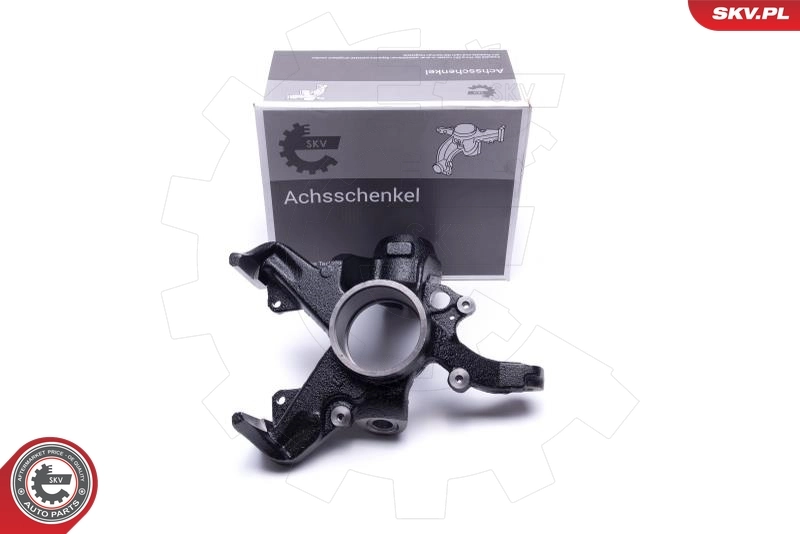 Steering Knuckle, wheel suspension